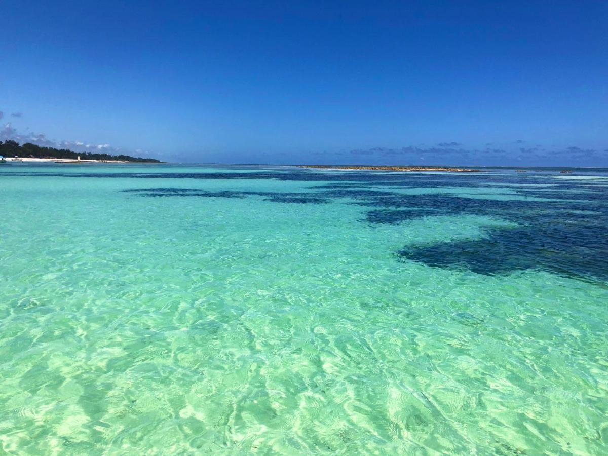 Diani-Paradise-Villas 迪亚尼海滩 外观 照片